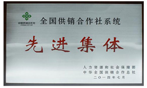 走进整体